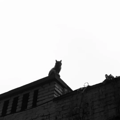 柳智敏