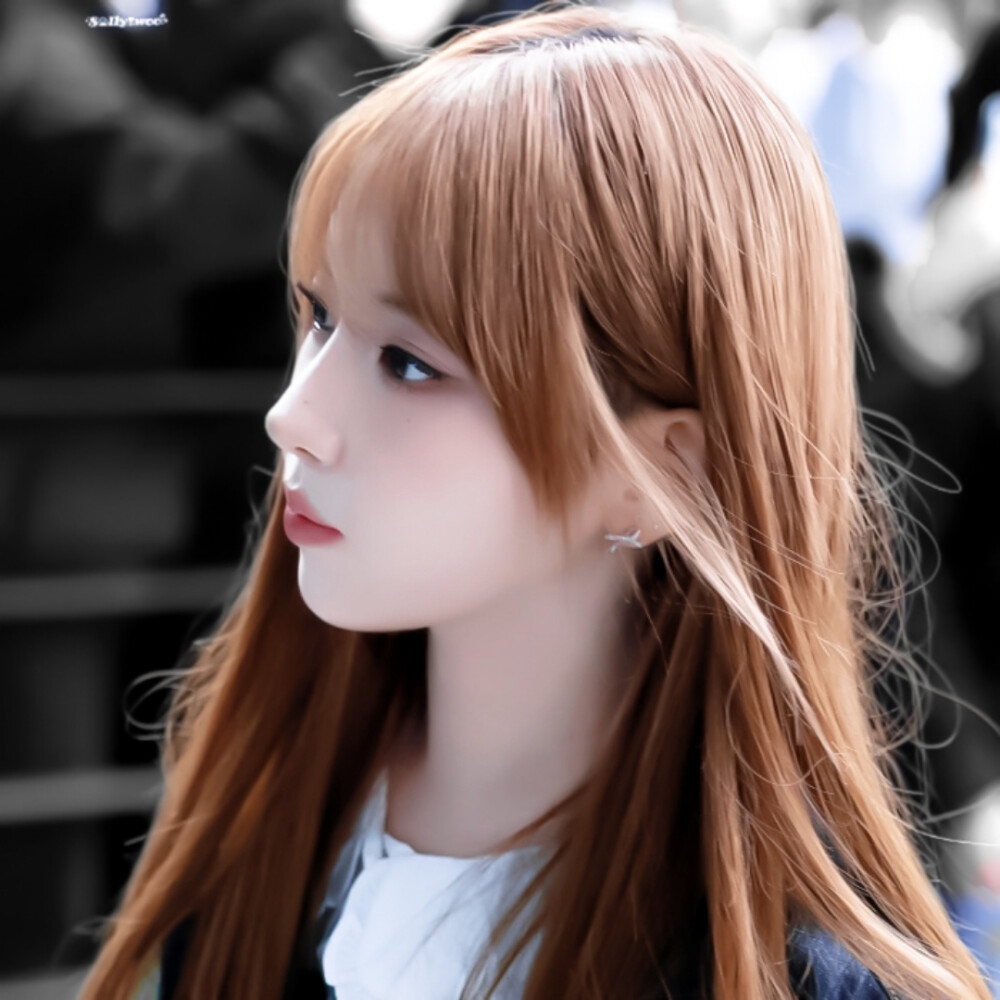 兔本送哒ε٩(๑> ₃ <)۶з