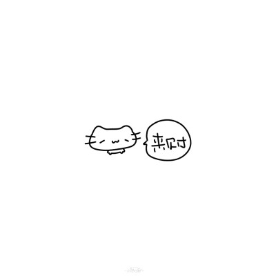 朋友圈背景图/
文字/
cr.@小新比椰