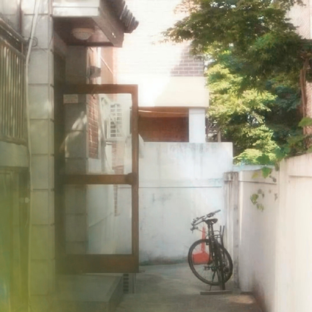  城时旧日 苦橙聆