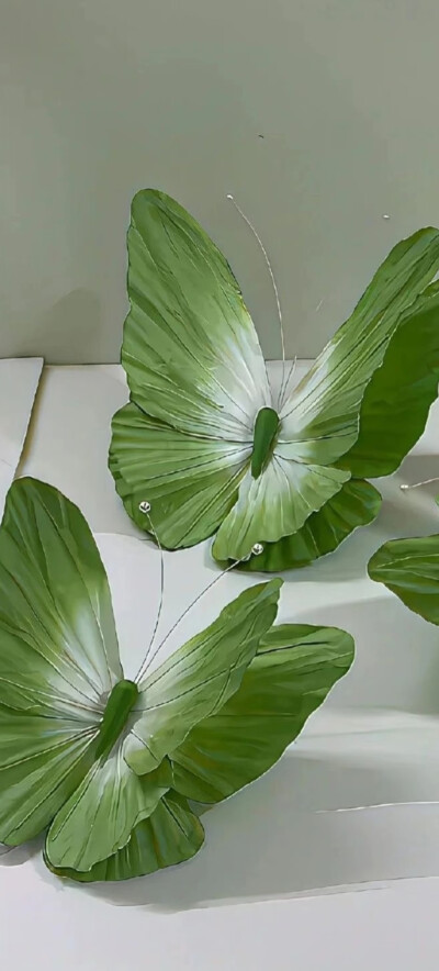 全屏壁纸