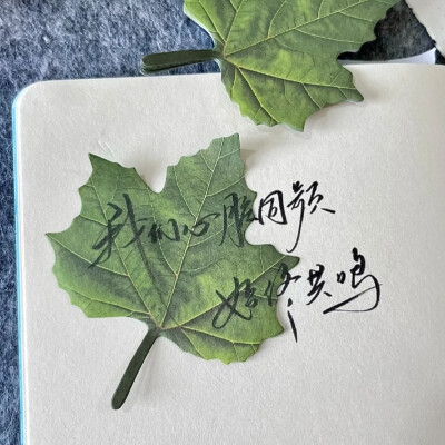 背景图