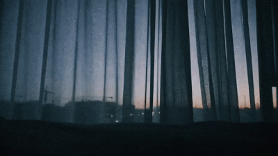 她说茉莉是莫离的眼睛