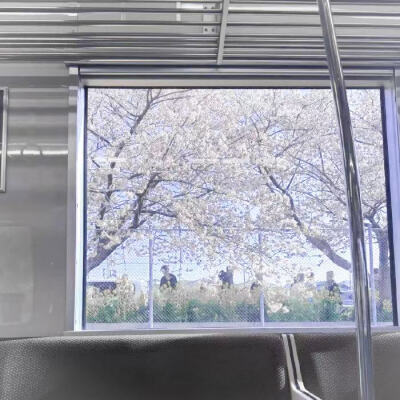 许裕河送来的第一份爱♡