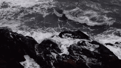程鑫GIF