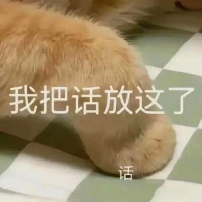 搞怪可爱表情包