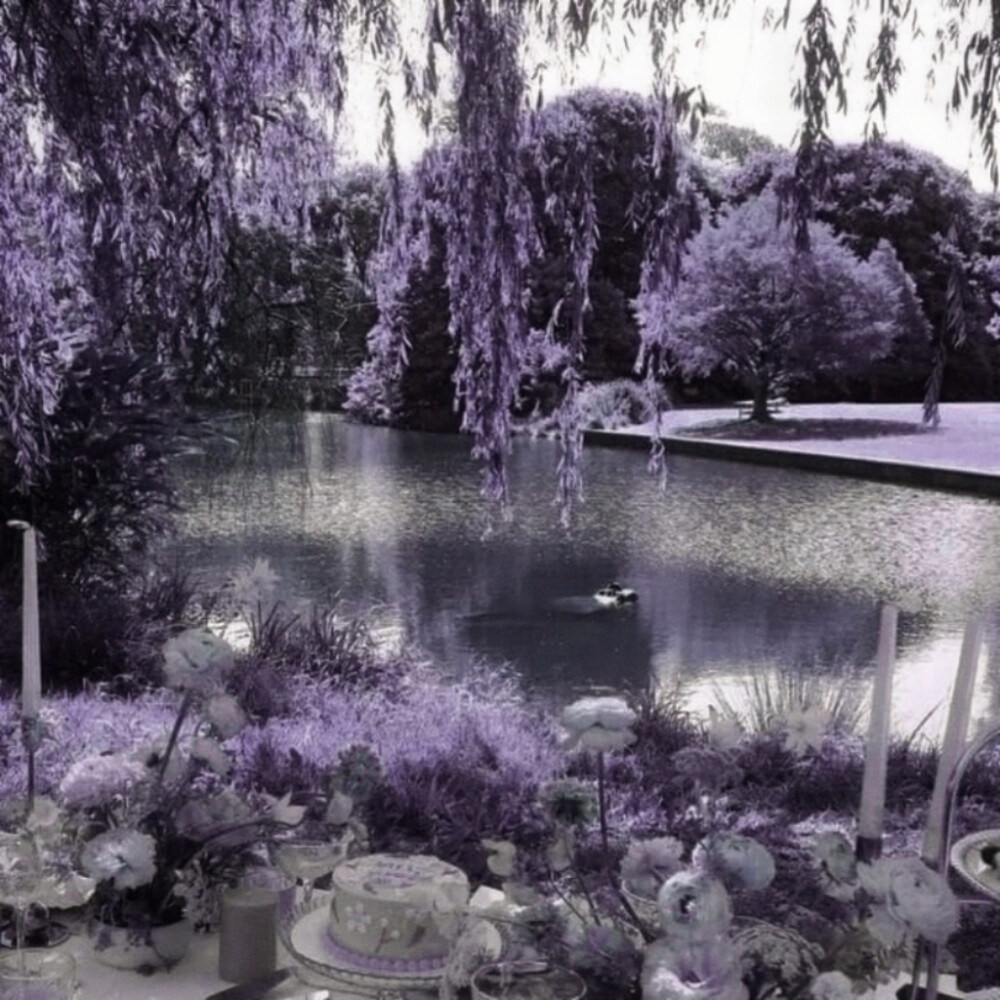 RezarSterk你就宠我吧