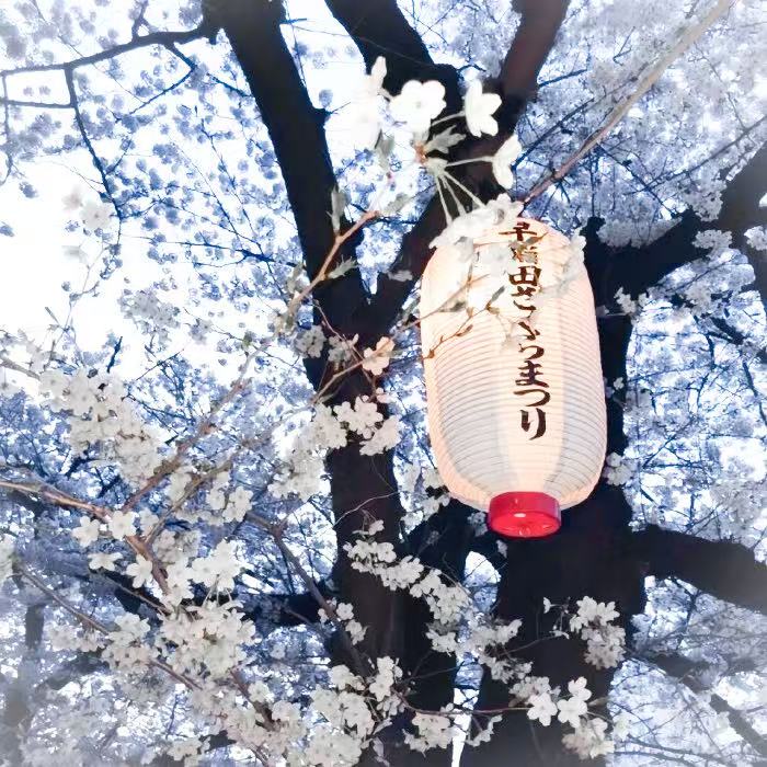 许裕河送来的第一份爱♡