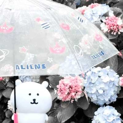 The fantasy of angel♫⊹♬天使^旋律幻想