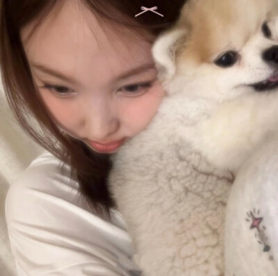 ㅤㅤㅤㅤㅤㅤ