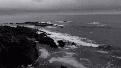 程鑫GIF