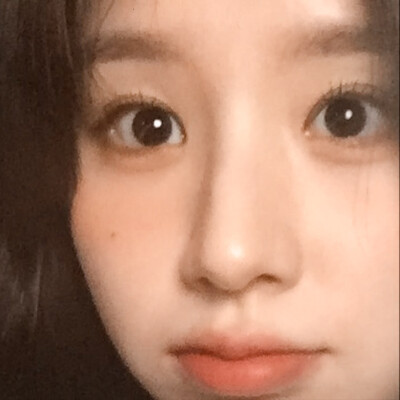 田姬振