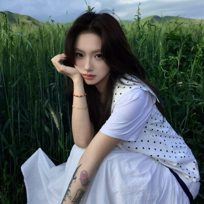 dt愛与莲