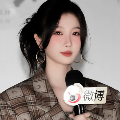 二改注明陈文嘉