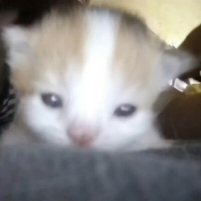 (*≧ω≦)