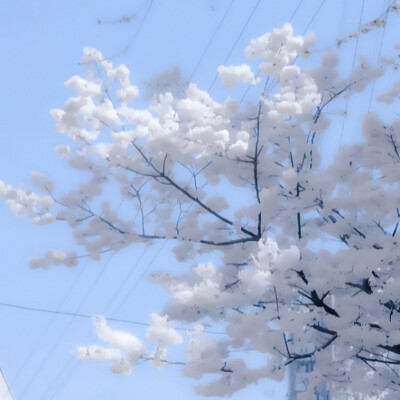 这其实我定制的蓝色。