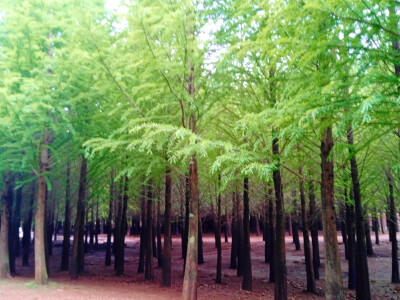 一些风景类的背景图和壁纸，快来挑选你喜欢的吧