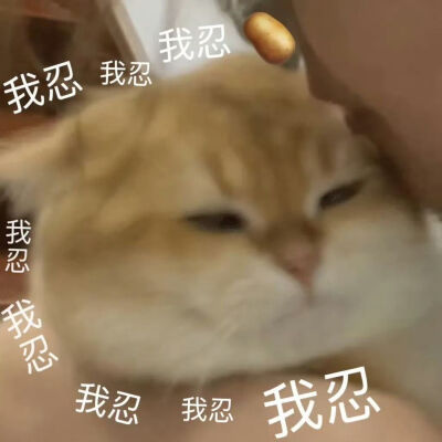 搞怪可爱表情包
