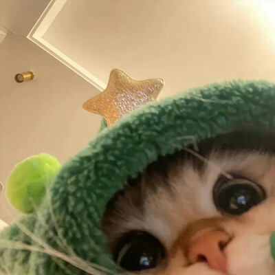 小宠