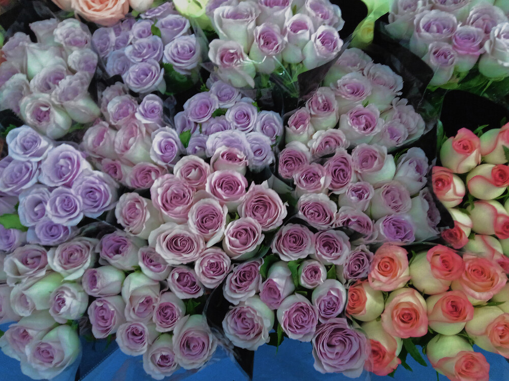 一些风景类的背景图和壁纸，快来挑选你喜欢的吧