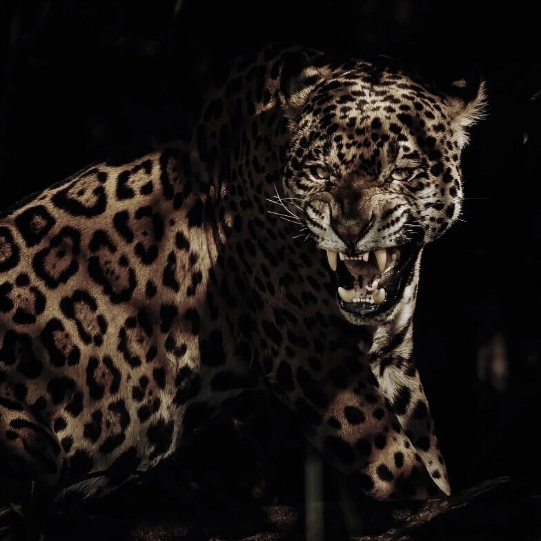 Rock Zombies**吉他手