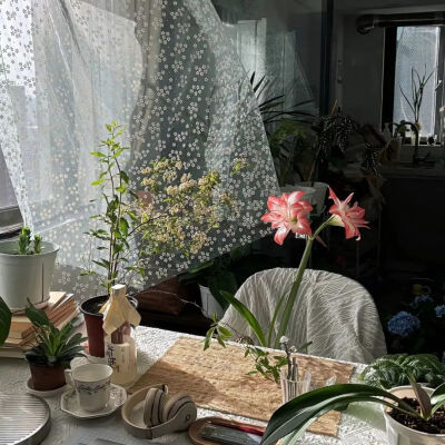 背景图