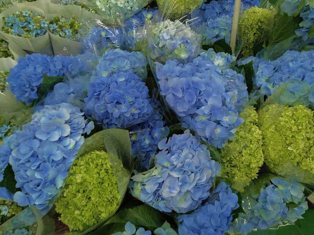 一些风景类的背景图和壁纸，快来挑选你喜欢的吧