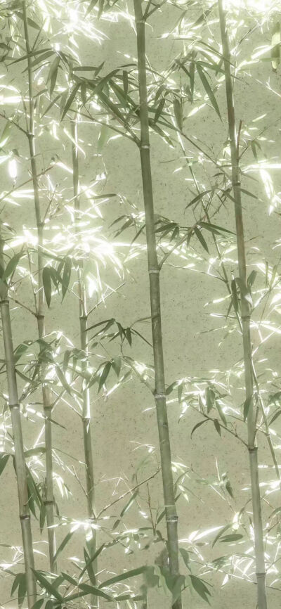 壁纸 侵删