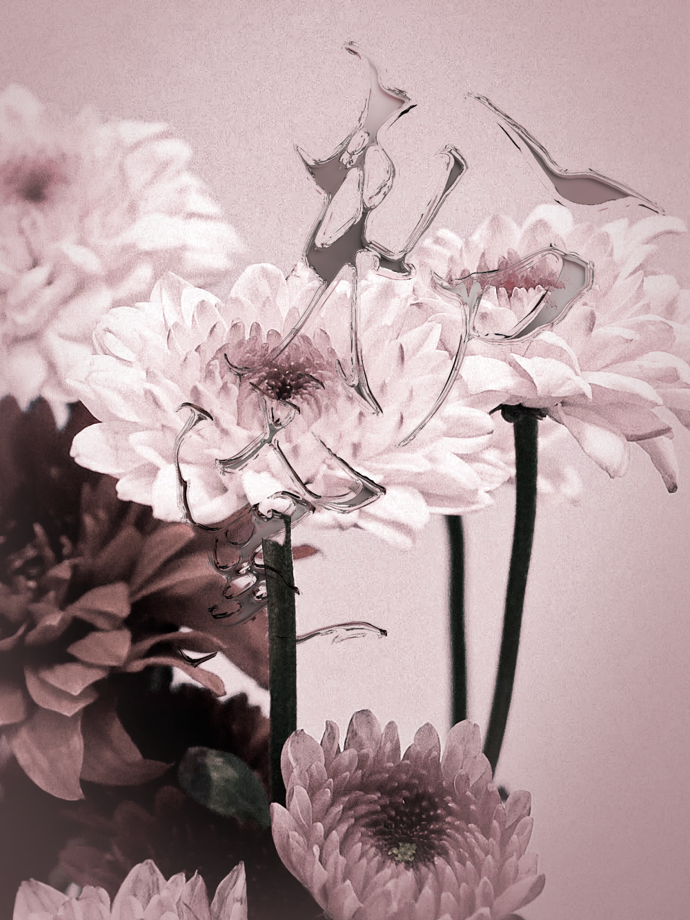 记忆是一种重逢。
遗忘则是一种自由。
纪伯伦《沙与沫 》 ​​​