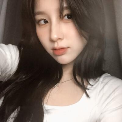 田姬振