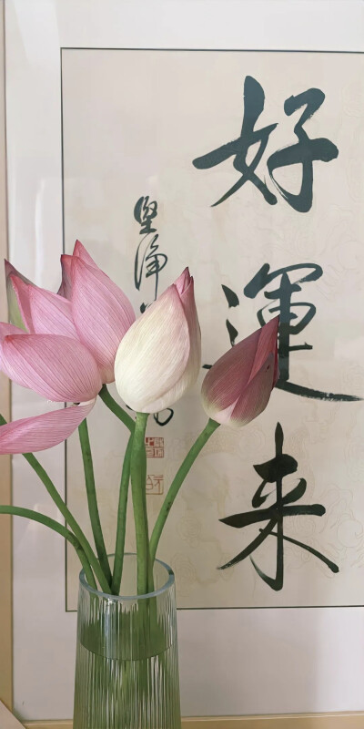 壁纸 侵删