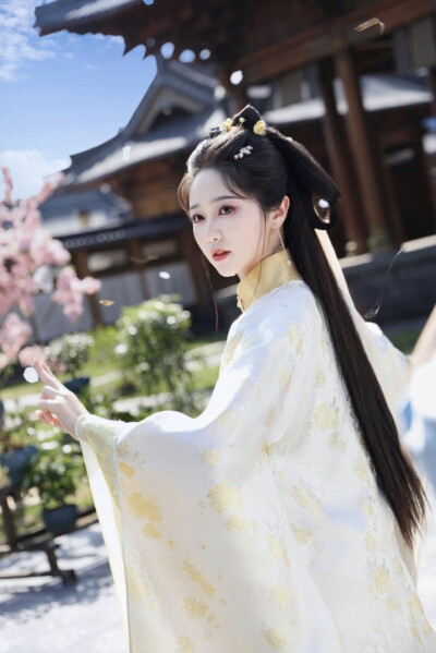 美人辞嫁 沈棠