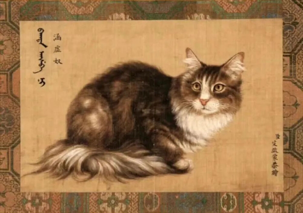 涵虚奴清代 艾启蒙 《狸奴影》册页