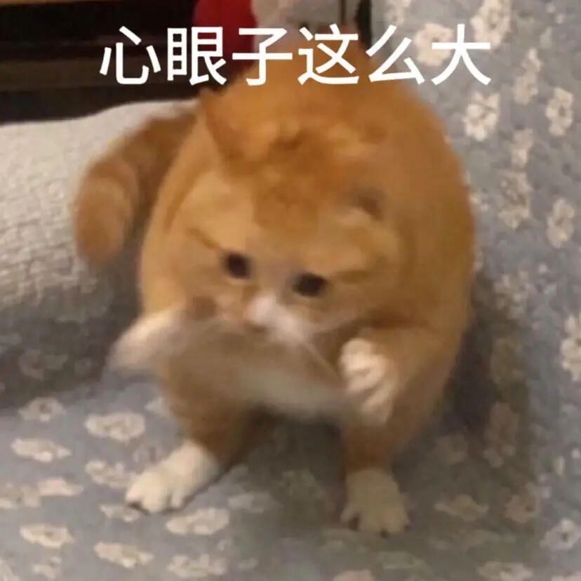 搞怪可爱表情包