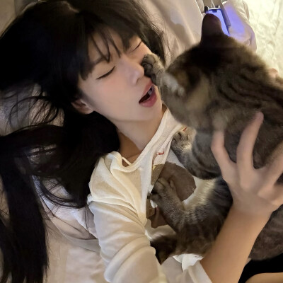 dt愛与莲