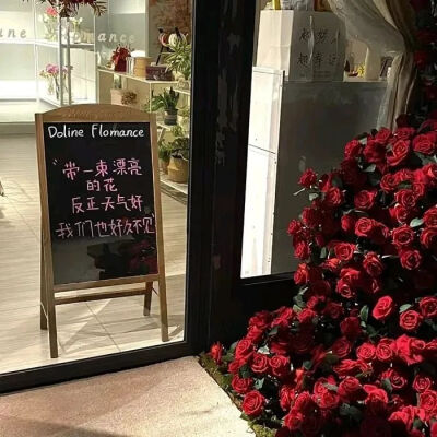自由的灵魂永不困顿于荆棘