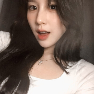 田姬振