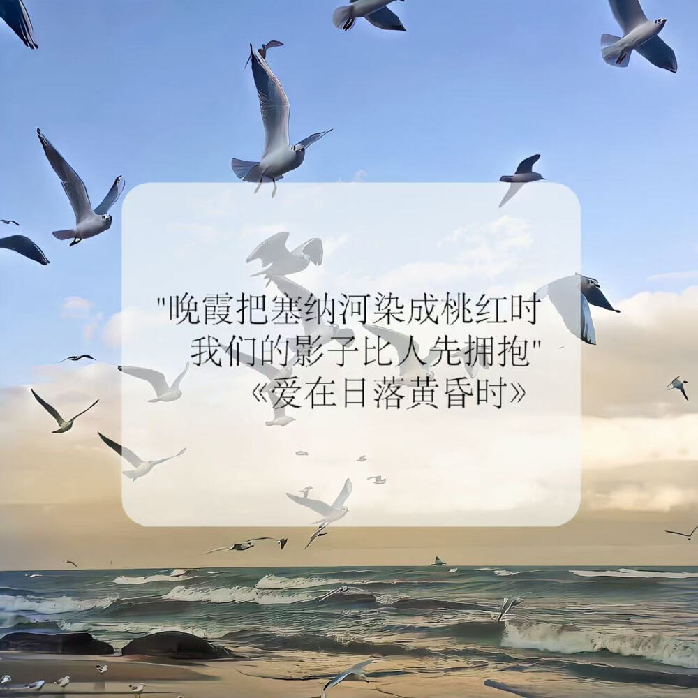 崔稚渝的美图嘿嘿