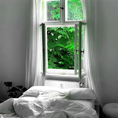 明天就吃红豆派宝宝送我的图