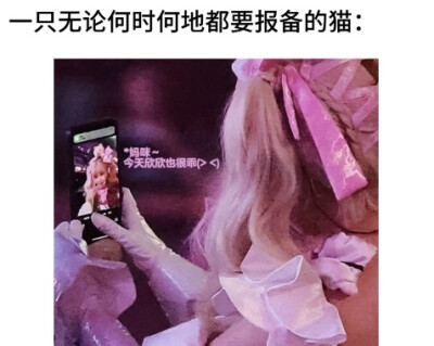 微糊版