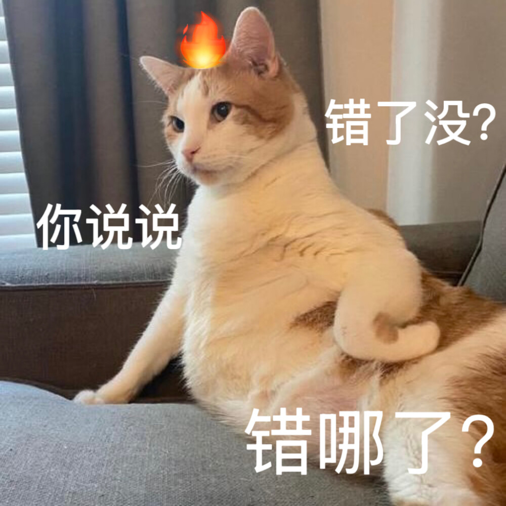 沙雕猫咪表情包