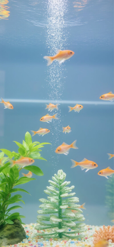 壁纸