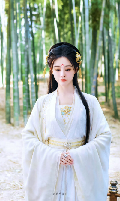 书卷一梦
