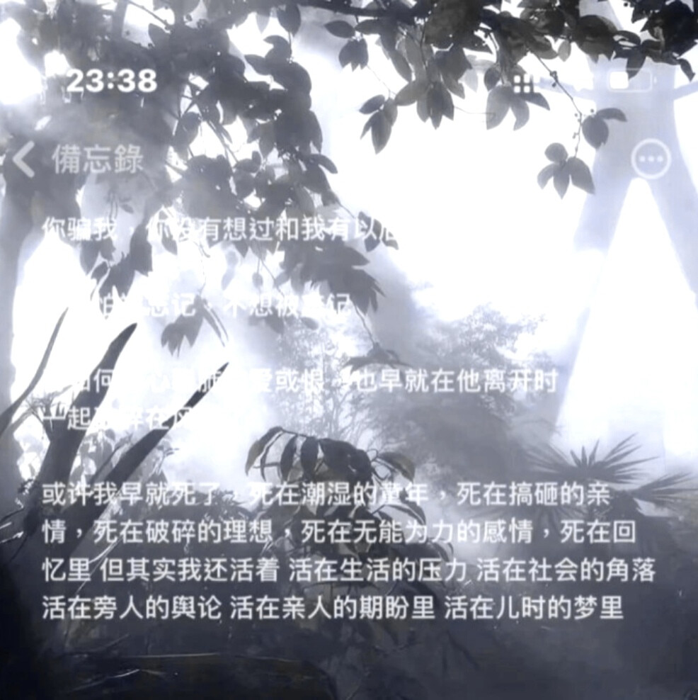 噜噜晓～