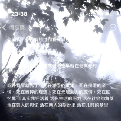 噜噜晓～