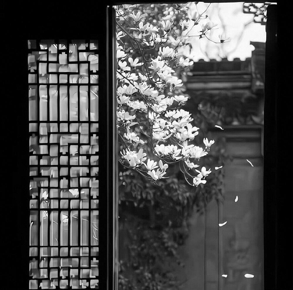 文文这厢有礼了