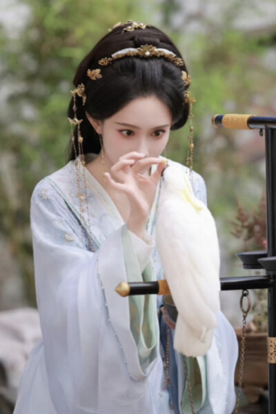 百花杀 沈汐和