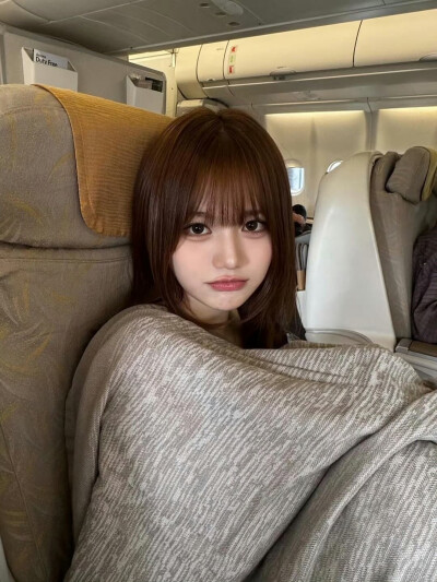 齐藤芹菜