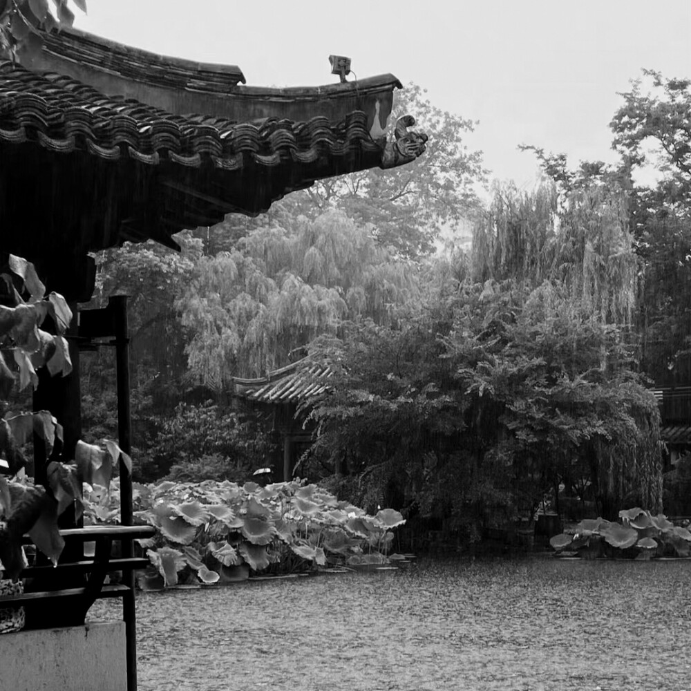 文文这厢有礼了