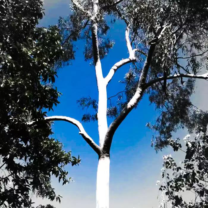 许裕河送来的第二份爱♡